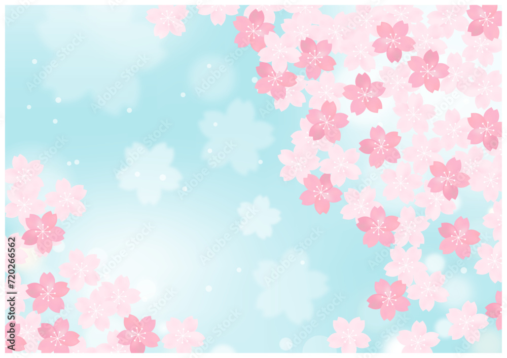 桜の花が美しい春の桜フレーム背景22青色