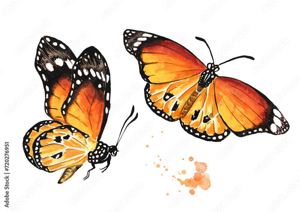 Obraz premium Flying Butterflies. The concept of liberation, freedom, moving forward, change. Hand drawn watercolor illustration isolated on white background