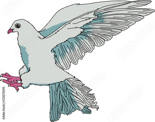 鳩（pigeon）(eps)