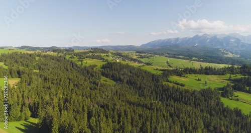 Flying over the beautiful forest trees. Landscape panorama.