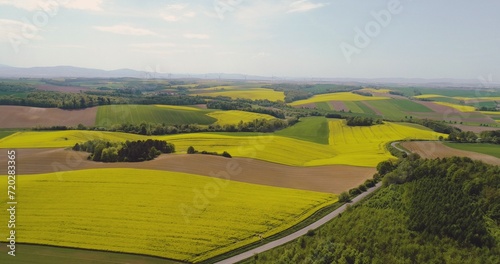 Scenic view of canola field against sky