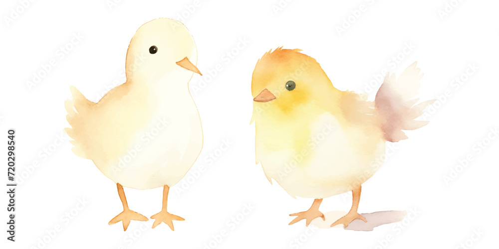 cute chick watercolor vector illustration