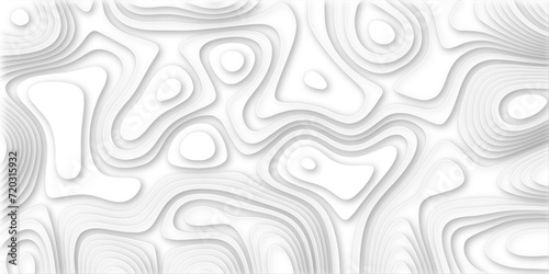  white paper and relief wave and cruve line paper cut background. soft white color seamless pattern, vector illustration, multi layer cutout banner design. topo counter map in 3d view.