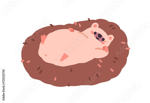 Cute hedgehog lying, relaxing. Funny adorable kawaii animal resting belly up. Happy lazy baby character, carefree relaxation. Childrens flat vector illustration isolated on white background
