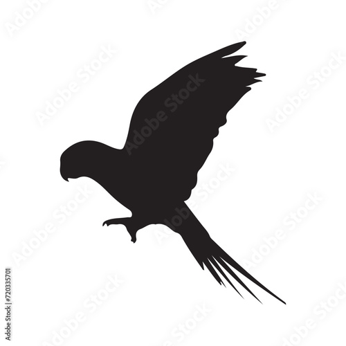 bird silhouettes white background. Vector illustration