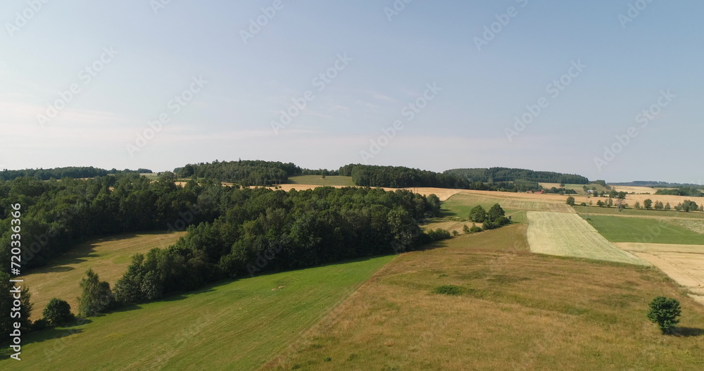 aerial view of forest and agricultural fields