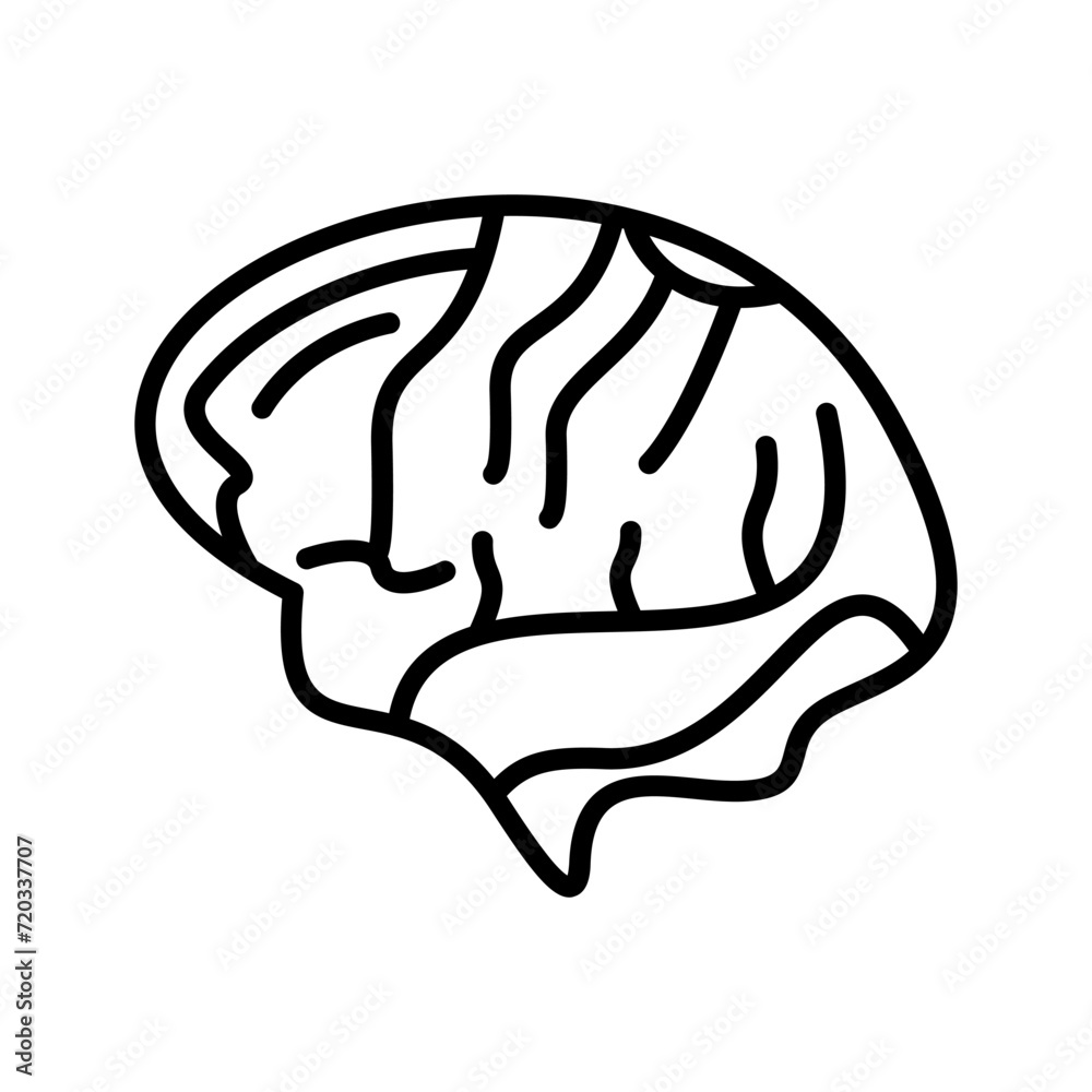 Brain Vector Icon
