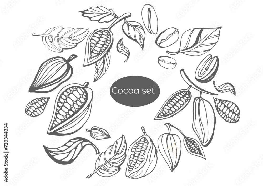 Vector set of hand drawing of cocoa, cocoa branches, leaves, coffee and