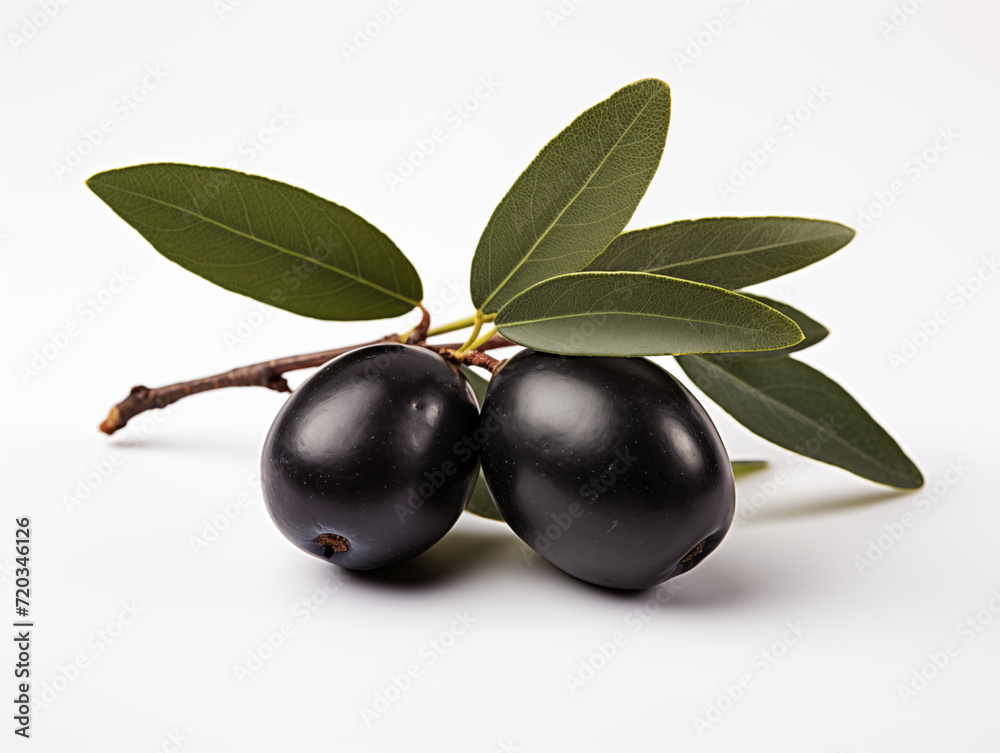 Black olive, side view, white background 