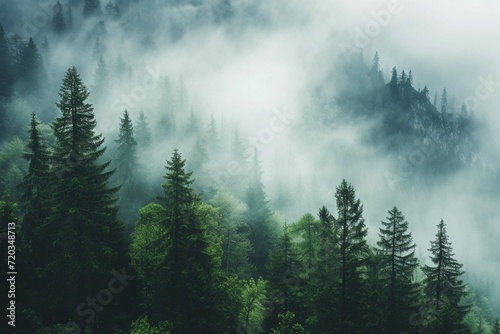 Misty landscape with fir forest in hipster vintage retro style © Amer