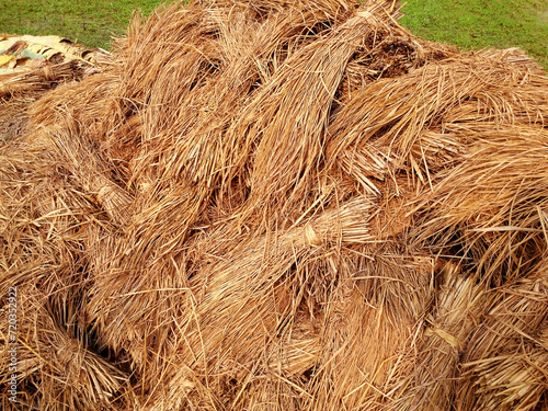 A pile of rice straw