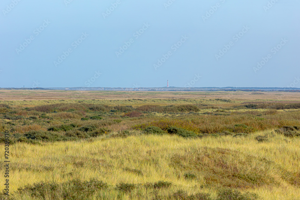 Overview of the sand dunes covered with marram beach grass, Blurred view of Ameland (Bornrif Lighthouse) The Dutch Wadden Sea island Terschelling, An island in the northern, Friesland, Netherlands.