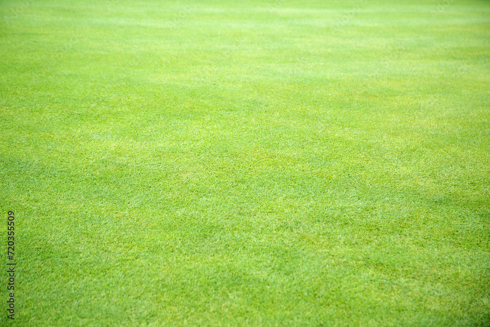 Green background wall with layers of green hues Green background wall with layers of green hues