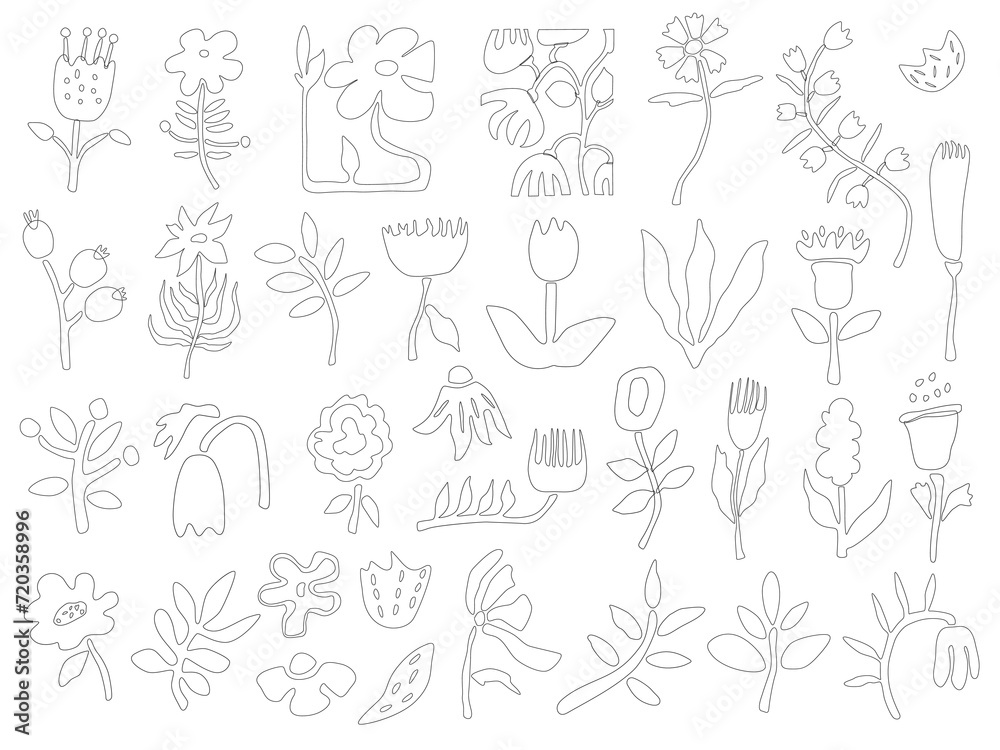 A set of vector illustrations with doodle-style flowers. A collection of flowers and a hand-drawn clipart.Design of stickers, social networks, packaging, Internet, postcards, posters A set of vector illustrations with doodle-style flowers. A collection of flowers and a hand-drawn clipart.Design of stickers, social networks, packaging, Internet, postcards, posters
