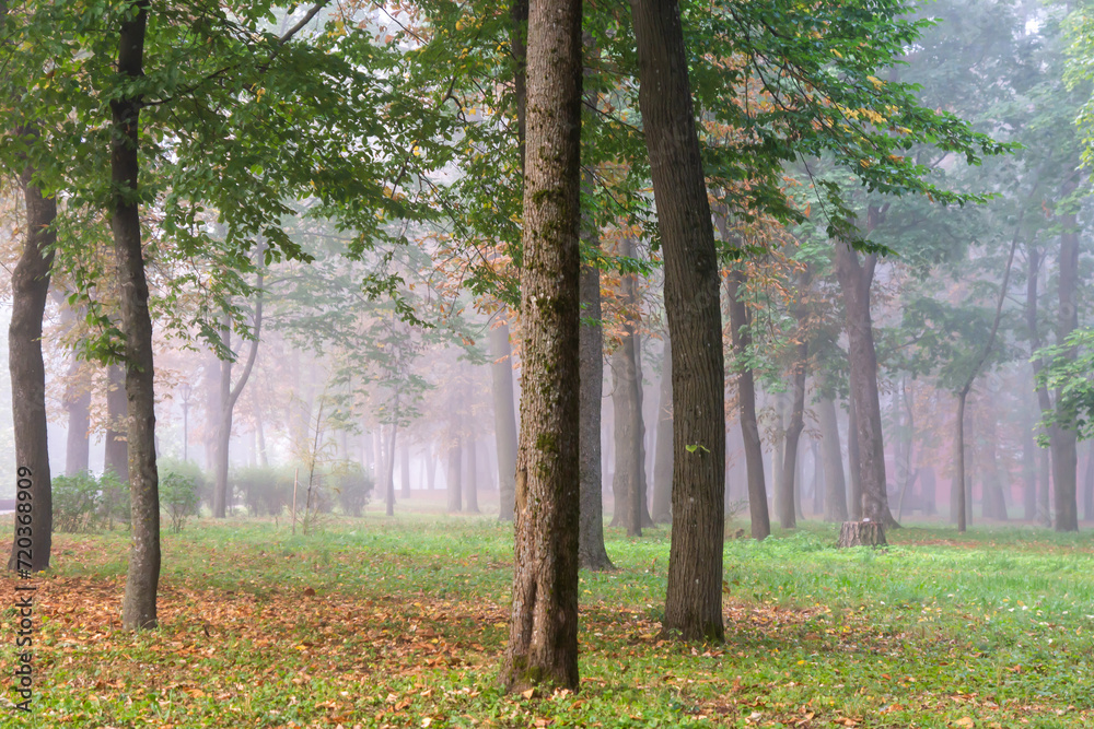 Beautiful autumn day in Gomel park. Beautiful autumn day in Gomel park.