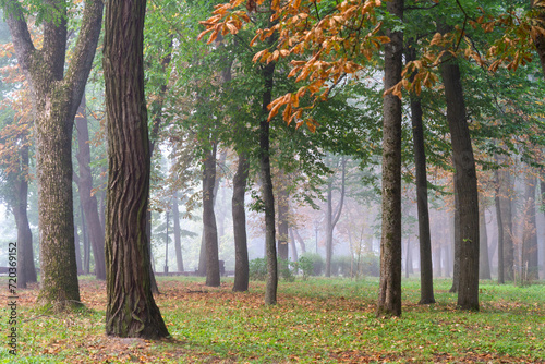 Beautiful autumn day in Gomel park. © ostapenkonat