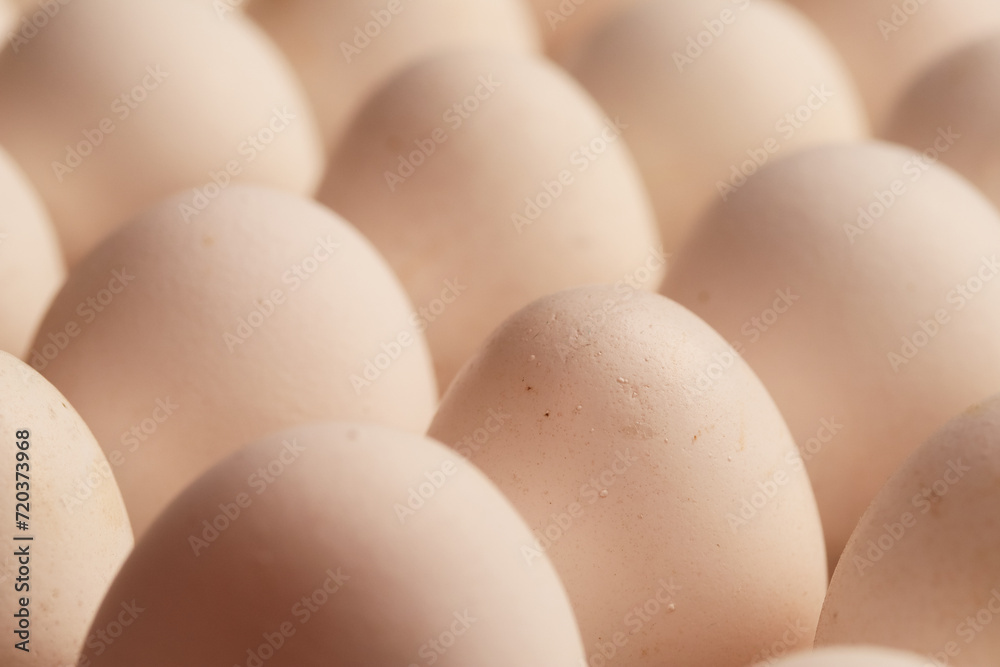 Macro detail of white eggs with warm light. Food concept. Macro detail of white eggs with warm light. Food concept.