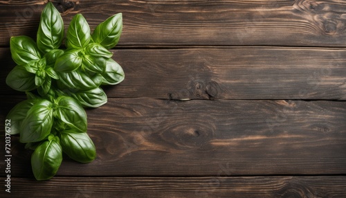 A wooden table with a green plant on it