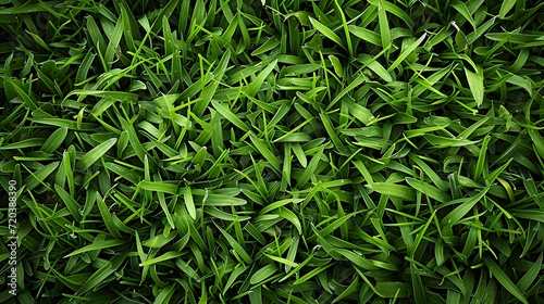 Nature of green grass texture background wallpaper. AI Generative. 