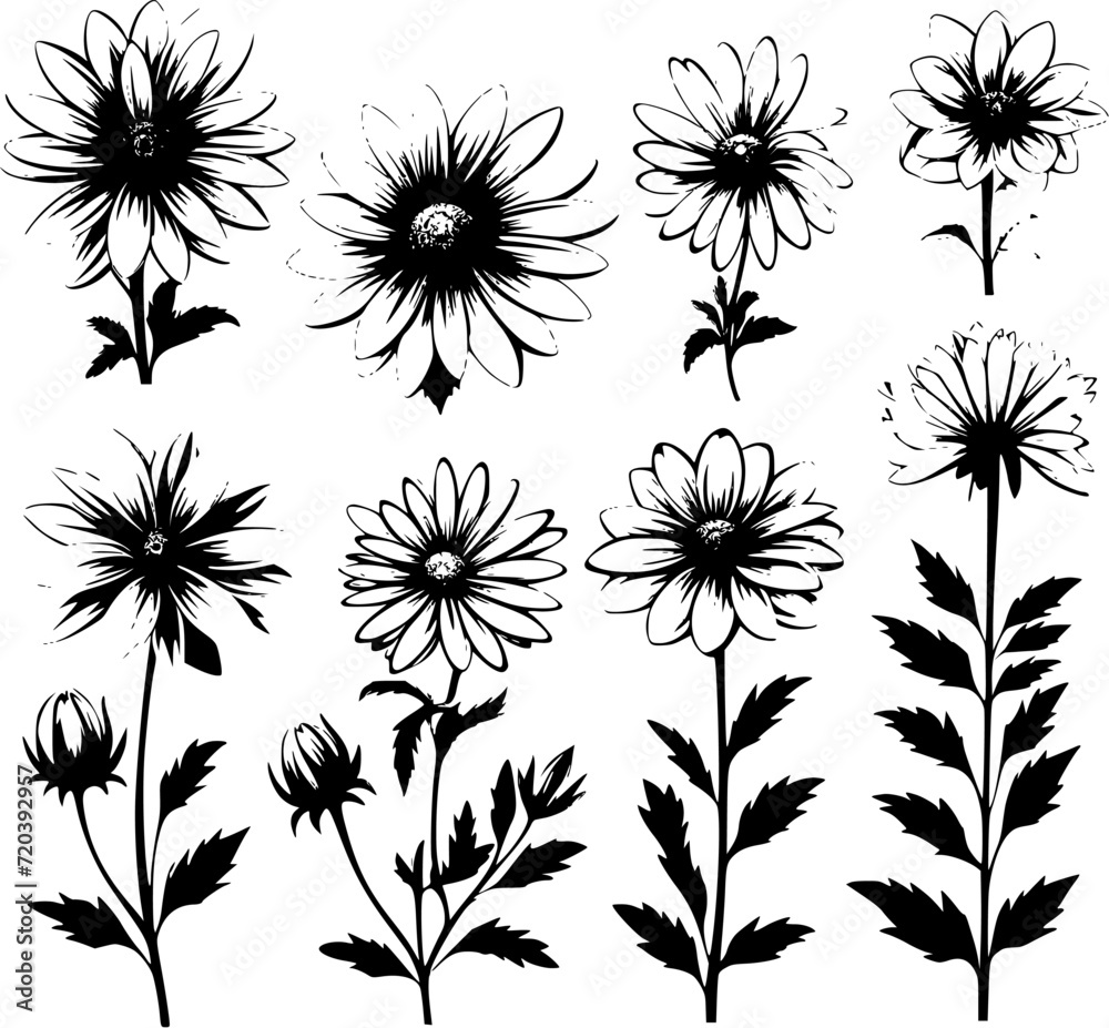 pattern, flower, floral, seamless, vector, leaf, design, decoration, ornament, illustration, wallpaper, art, plant, nature, vintage, damask, black, branch, decor, element, silhouette, swirl, flowers, pattern, flower, floral, seamless, vector, leaf, design, decoration, ornament, illustration, wallpaper, art, plant, nature, vintage, damask, black, branch, decor, element, silhouette, swirl, flowers,