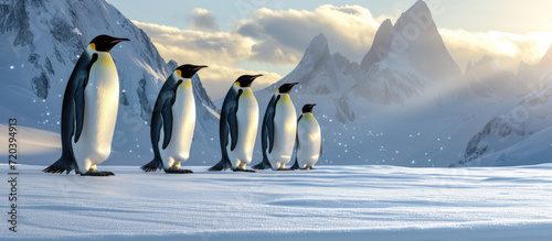 a group of king penguins walking on ice