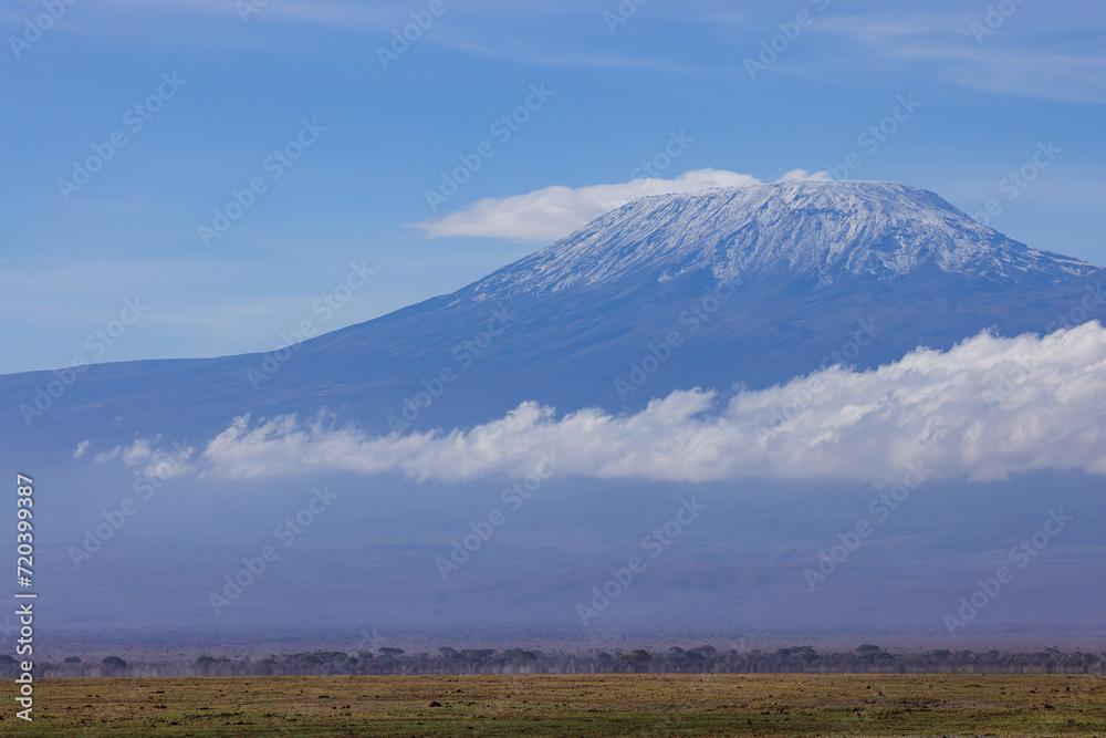 Obraz premium the savannah of Amboseli NP with mount kilimanjaro in background