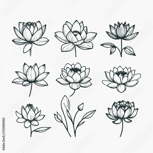 Lotus flowers set. Hand drawn sketch vector illustration for your design