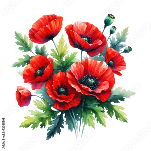 watercolor of Poppy flower bouquet and greenery leaves clipart