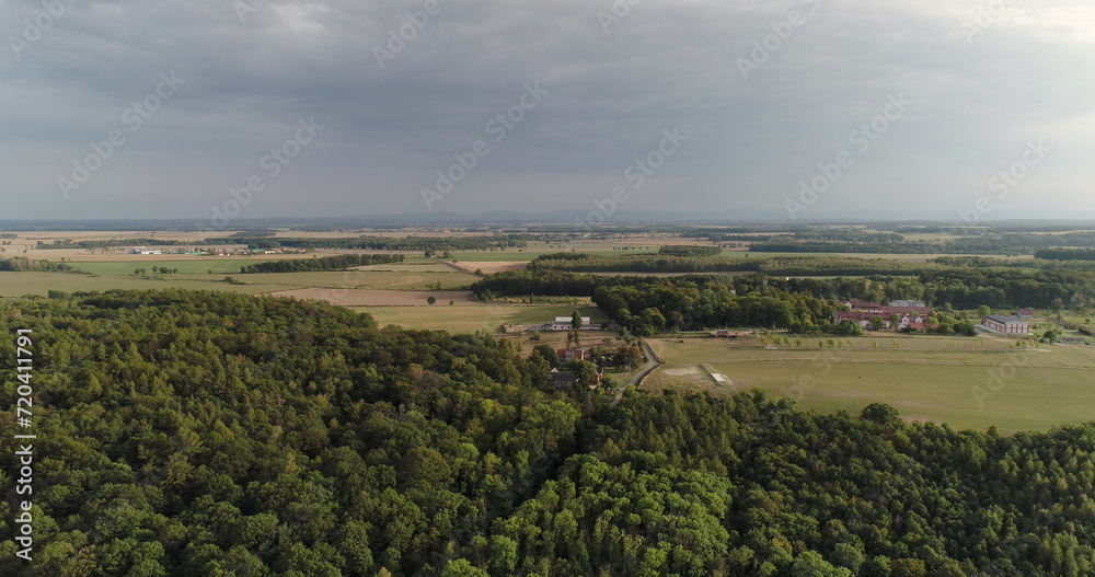 aerial view of agricultural fields and forest