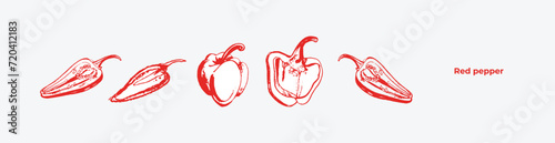 Vector isolated set of red Bulgarian sweet and bitter pepper. Red pepper. Hand drawing. Vegetable engraved style object, full, half and slices. Isolated bell pepper.