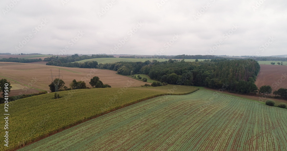 aerial view of agricultural fields and forest