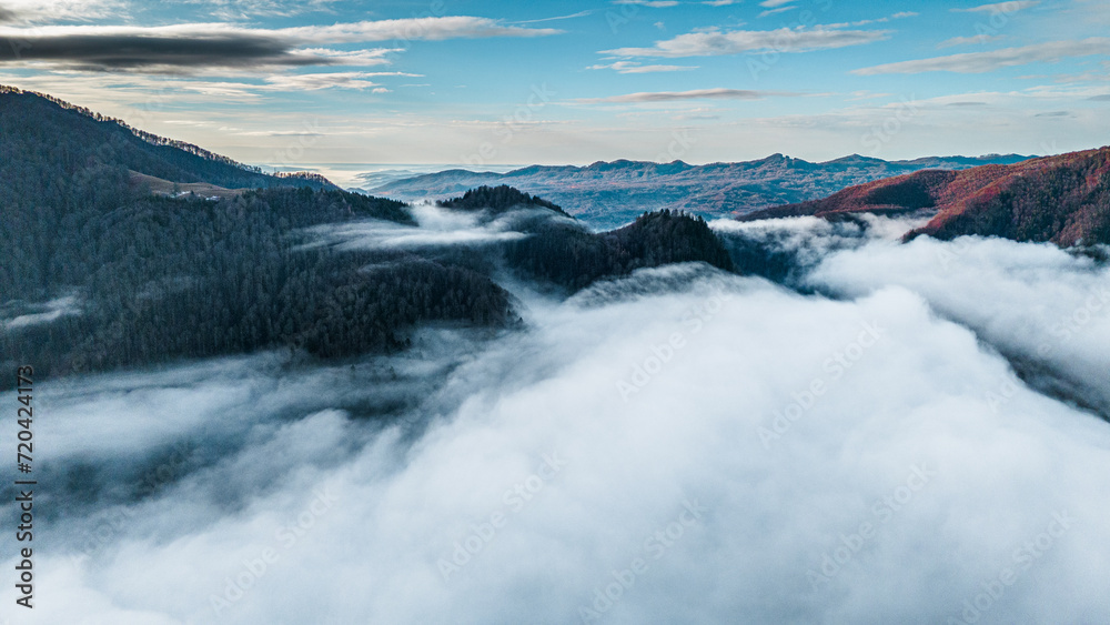 Mountain forest covered with mist. Fog in the forest. Aerial view with the forest in the mountains covered by the fog that floats over the valley. Valley between the mountains covered with mist.