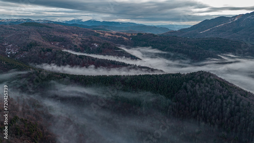 Mountain forest covered with mist. Fog in the forest. Aerial view with the forest in the mountains covered by the fog that floats over the valley. Valley between the mountains covered with mist.