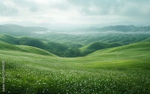 Panoramic Rolling Hills and Gentle Meadows