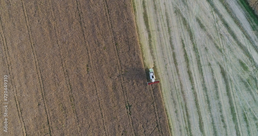 Machinery harvesting crops on field Machinery harvesting crops on field