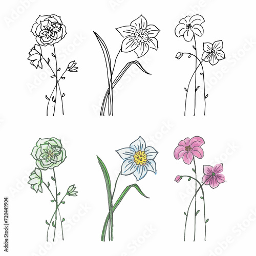 Hand drawn set of flowers. Liner, gel pens and watercolor pencils. Field flowers. Fantasy flowers. Floral arrangement. 