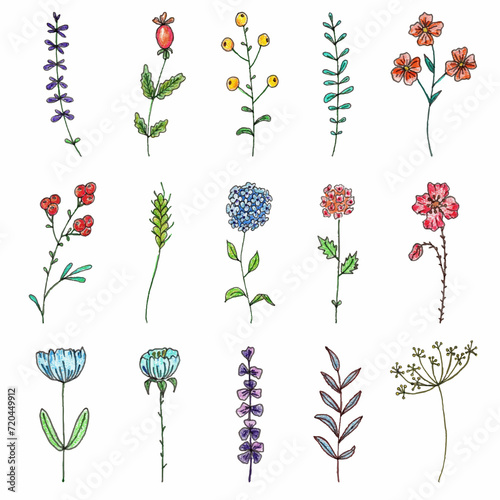 Hand drawn set of flowers. Liner, gel pens and watercolor pencils. Field flowers. Fantasy flowers. Floral arrangement. 
