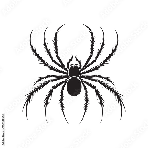 Enigmatic Spinners: A Set of Spider Silhouettes Concealing the Mysterious World of Web-Weaving Arachnids - Spider Illustration - Spider Vector - Insect Silhouette 