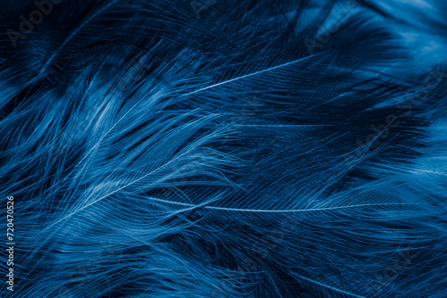 white and blue feathers. background © Krzysztof Bubel