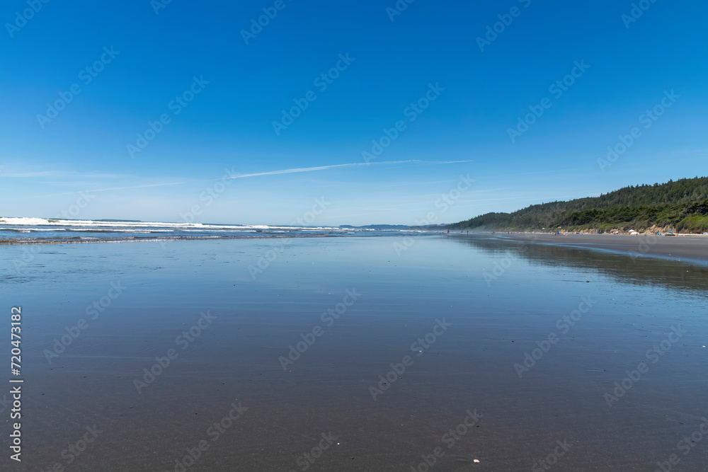 Low angle view over the length of the wet and glistening sand during low tide at Kalaloch beach on coastal stretch of Olympic National Park, WA, USA, against a clear blue sky