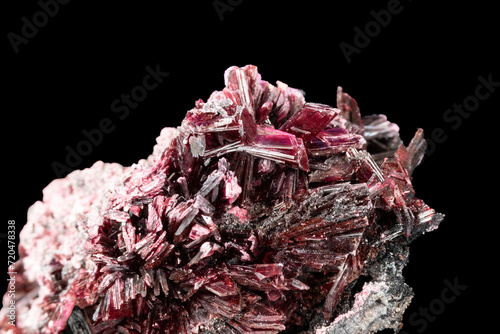 Closeup of red erythrite bladed crystals from Morocco, on host rock. Black background. 
 photo