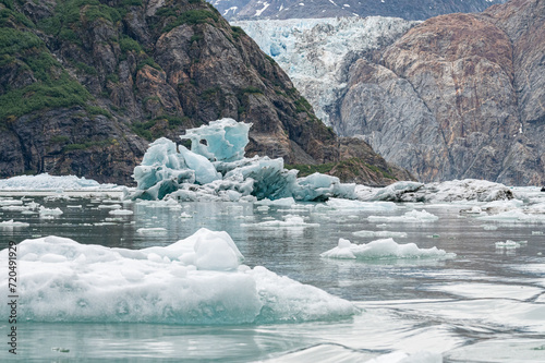 Gowlers (small icebergs) floating in the sea with North Sawyer Glacier in the distance, Tracy Arm Inlet, Alaska, USA photo
