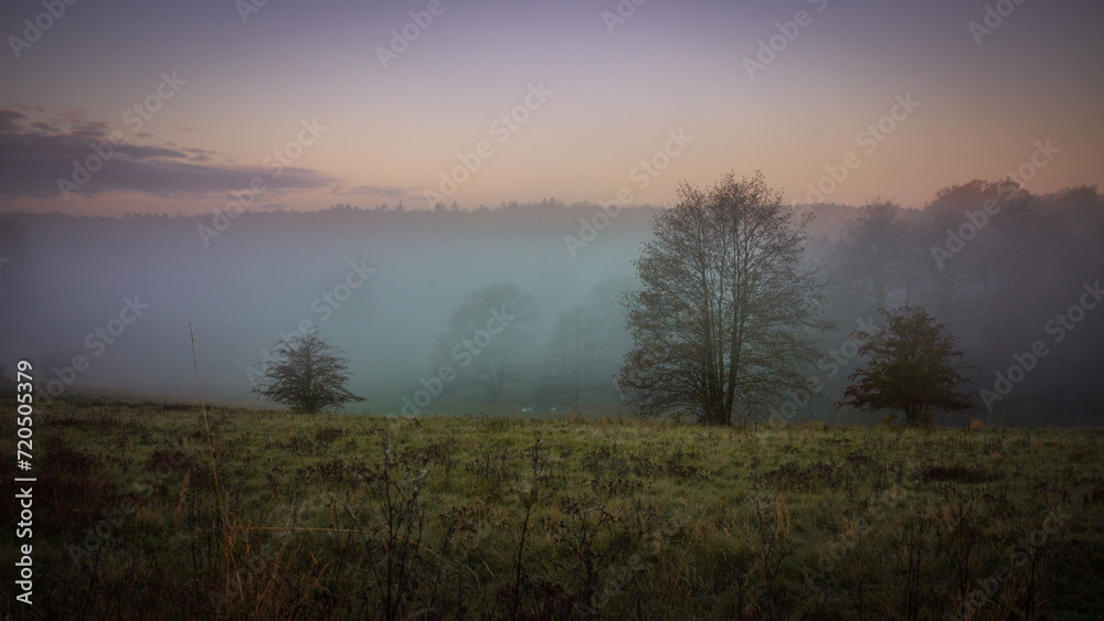 Obraz premium morning mist over the plain