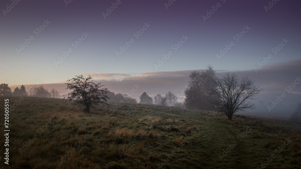 morning mist over the plain