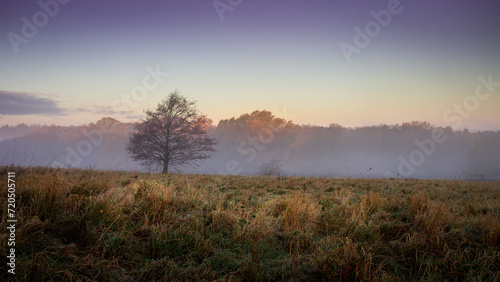 morning mist over the plain © JanBS-Foto