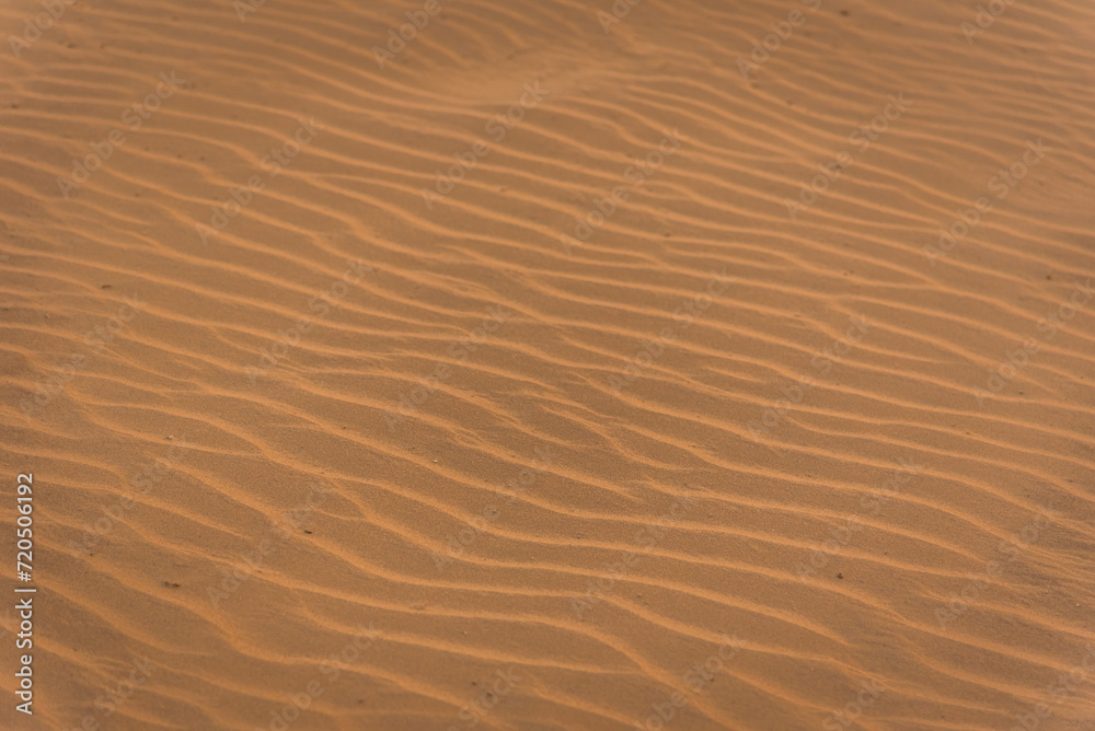 Close up orange sand texture of sand dunes in Great Thar Desert in in Jaisalmer, Rajasthan, India. Close up orange sand texture of sand dunes in Great Thar Desert in in Jaisalmer, Rajasthan, India.