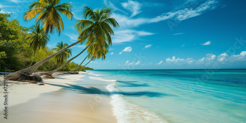 Tropical beach with coconut trees and sky
