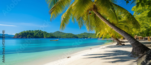 Serene tropical beach with clear turquoise water, white sand, and lush palm trees under a blue sky