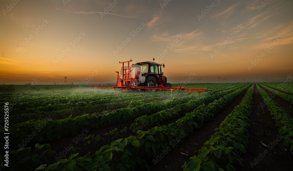 Fototapeta premium Tractor spraying soybean crops field