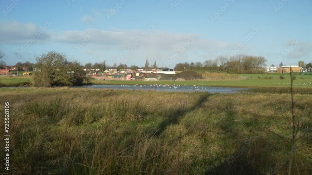Construction site in the background of a field with wildlife Construction site in the background of a field with wildlife